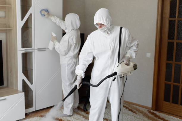 Trusted Sewage Cleanup service in Cairo, IL - Four Month Blood Cleanse
